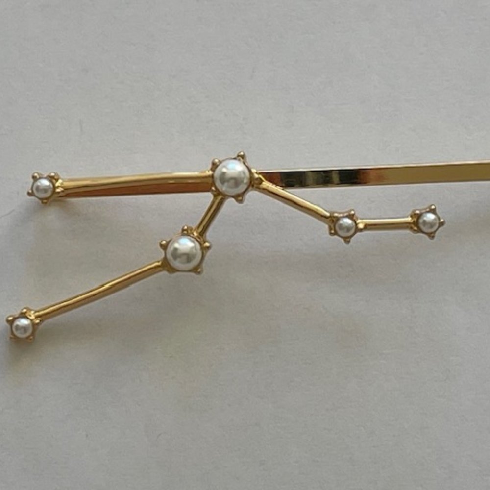 Hair Pin